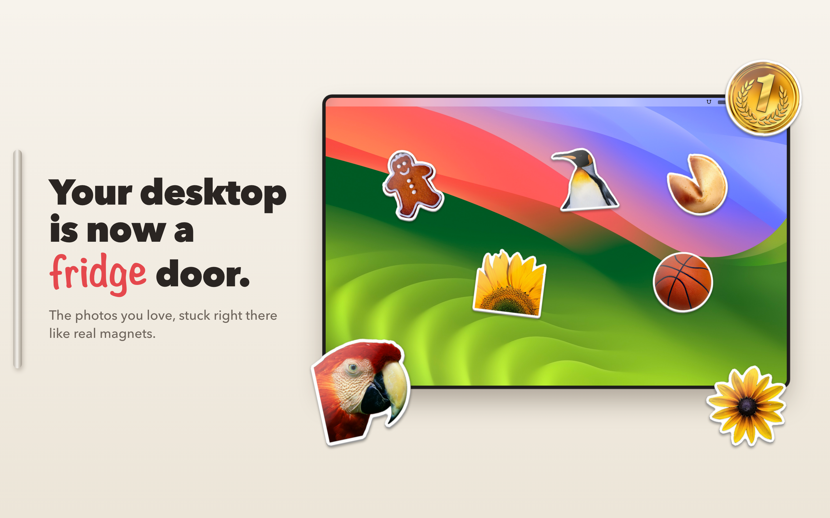 App screenshot 4